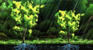 Treeplanter chega ao Steam com proposta relaxante e iniciativa de plantio real de árvores